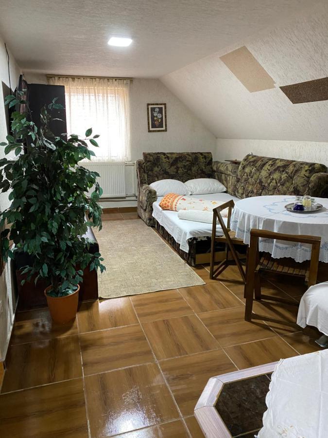 Apartamente Muncitori Strugurilor 53 Сибиу Экстерьер фото