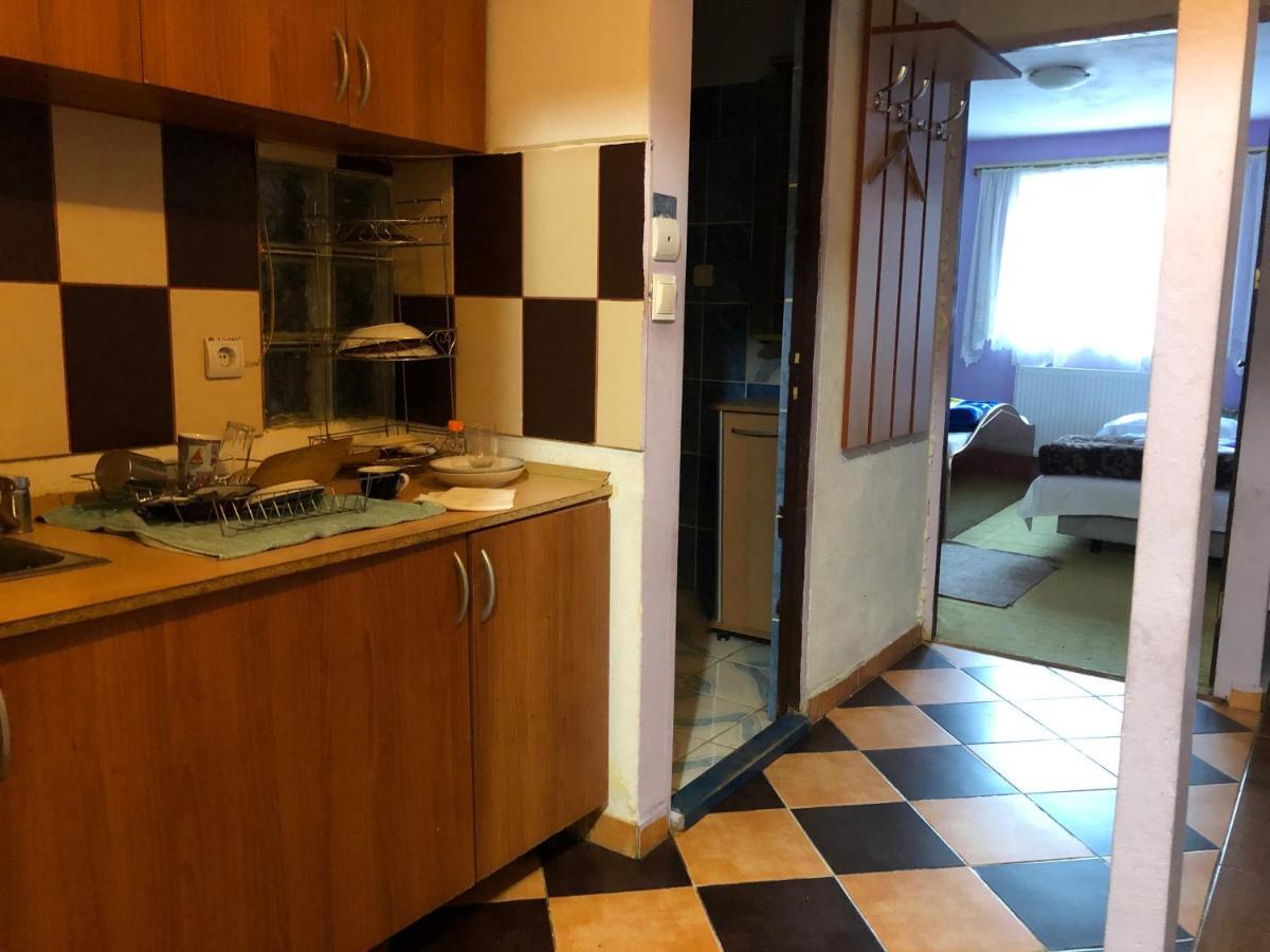 Apartamente Muncitori Strugurilor 53 Сибиу Экстерьер фото